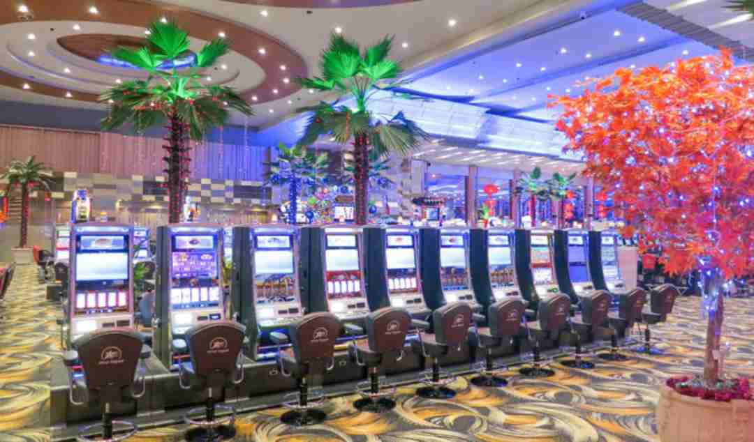 Star Vegas International Resort and Casino da dang tro choi